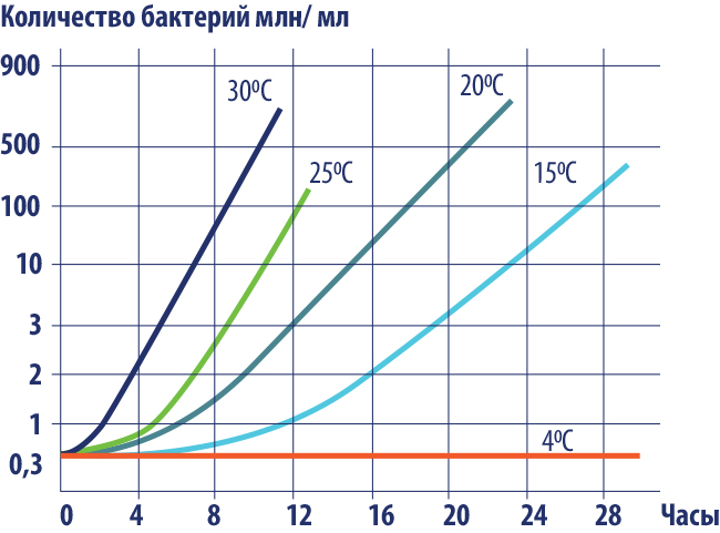 Рисунок 3 Влияние температуры на рост бактерий в сыром молоке